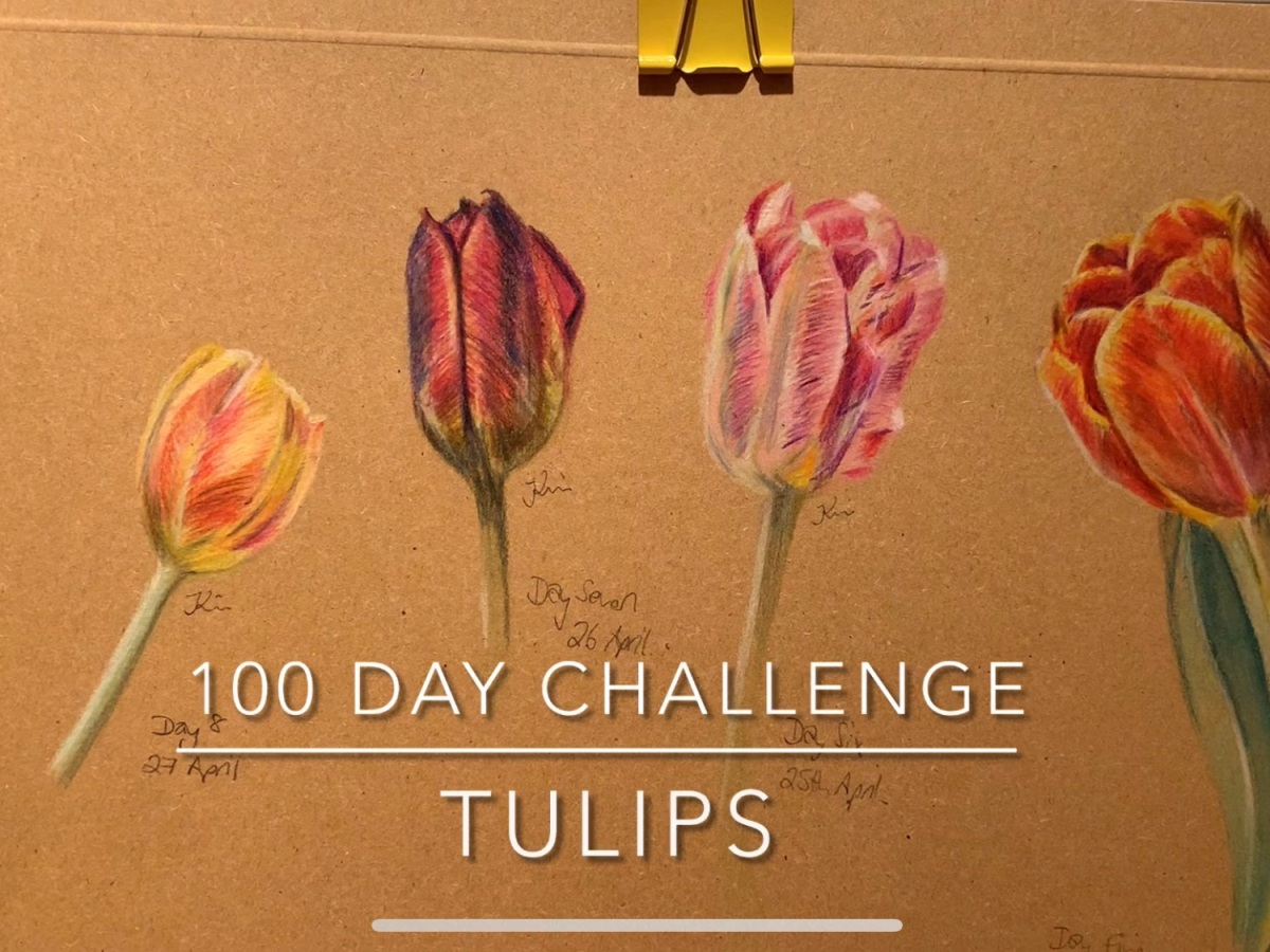 Tulip Art Installation